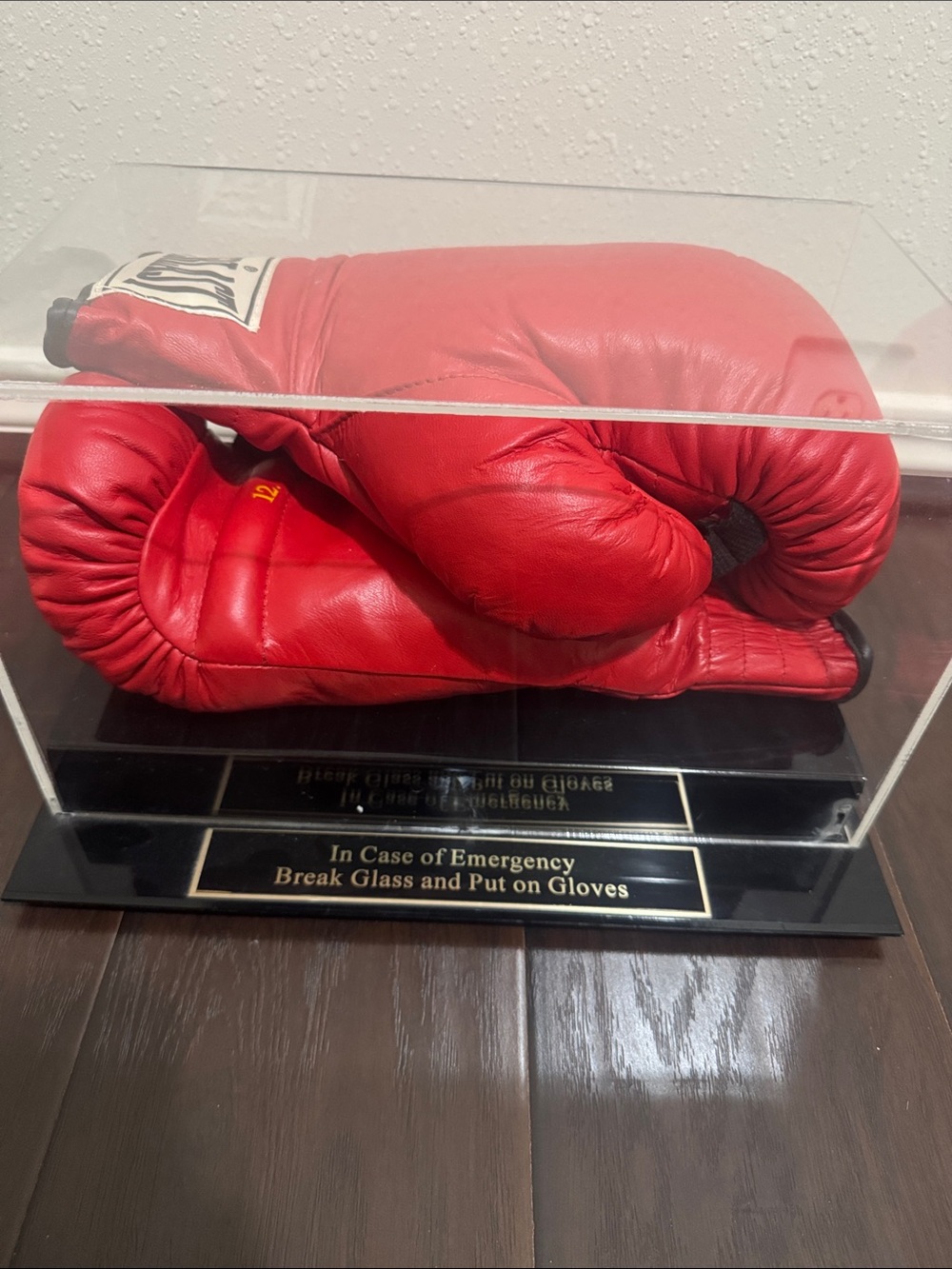 Everlast Red Boxing Gloves Display Case - Home Accent